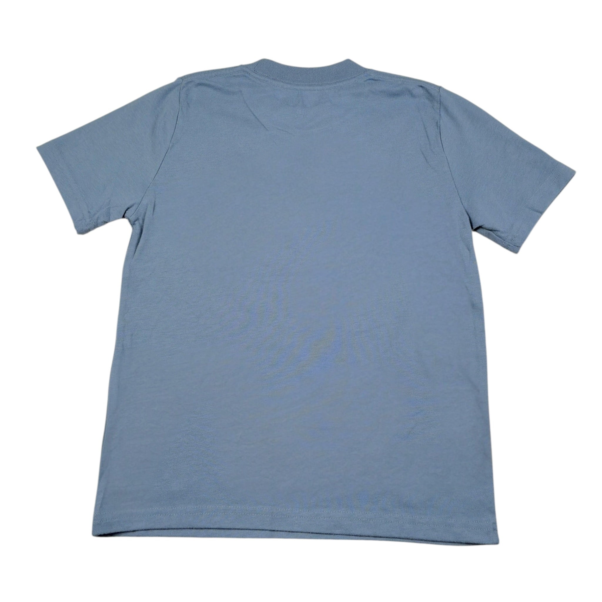 Abercrombie Kids T-Shirt tinta unita con Stampa Azzurro per Bambino WIIWIW AZZURRO  