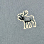Abercrombie Kids T-Shirt tinta unita con Stampa Azzurro per Bambino WIIWIW AZZURRO ABERCROMBIE KIDS 