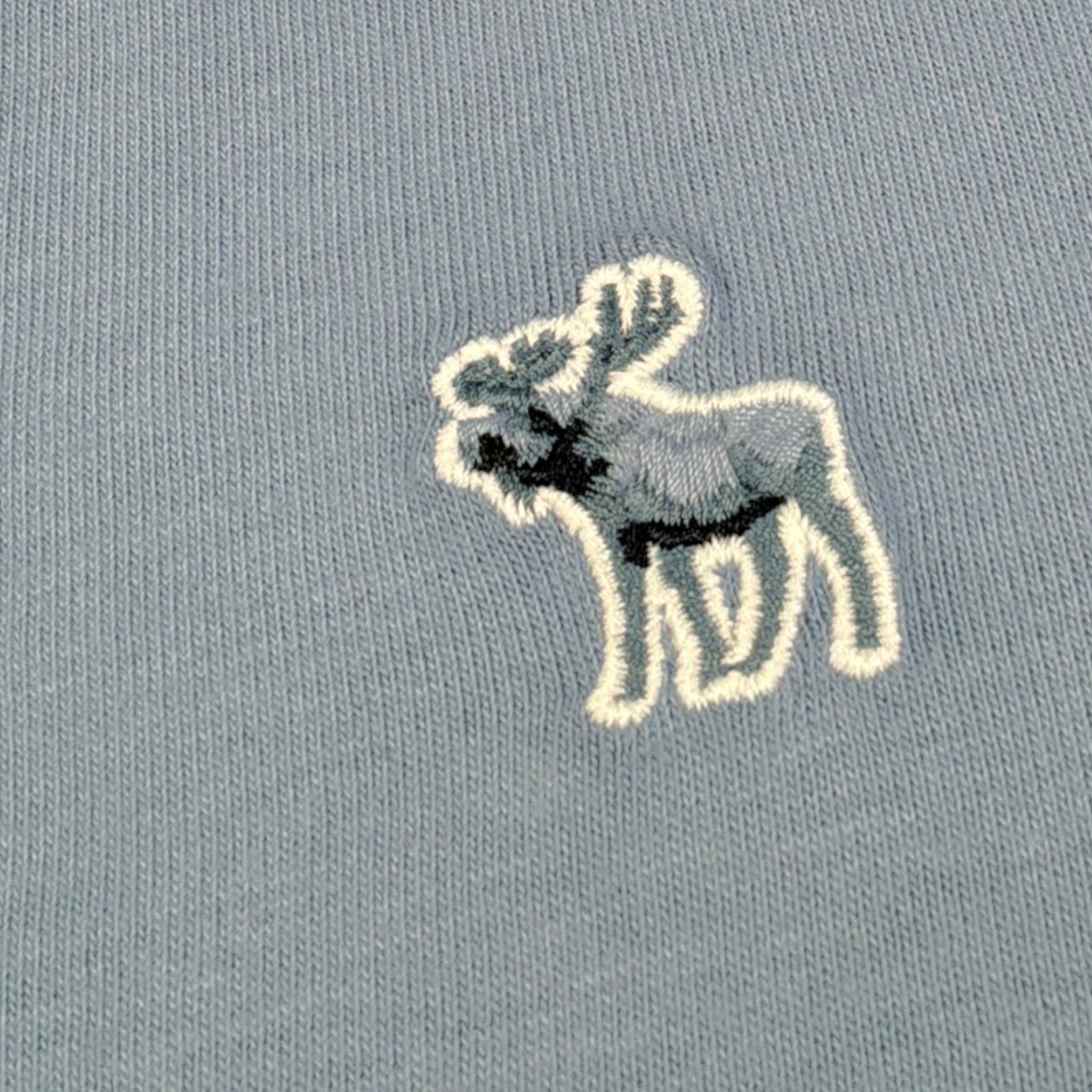Abercrombie Kids T-Shirt tinta unita con Stampa Azzurro per Bambino WIIWIW AZZURRO ABERCROMBIE KIDS 