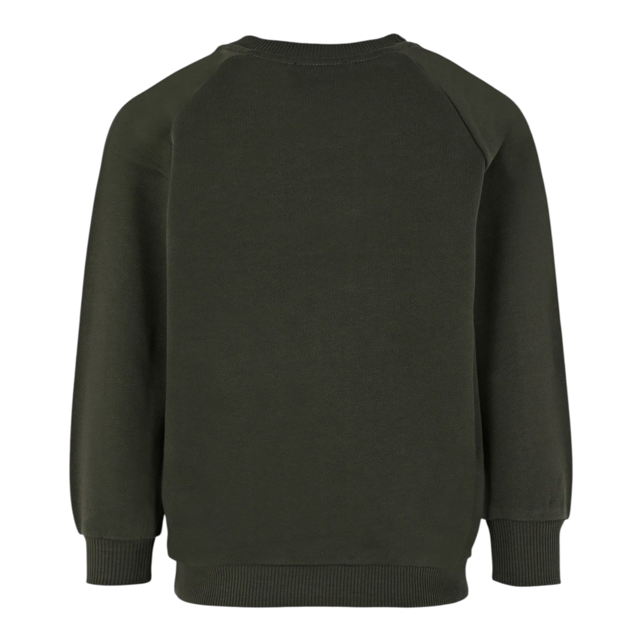 Balmain Felpa Chiusa Girocollo tinta unita con Stampa Verde per Bambino BX4P80 VERDE BALMAIN 