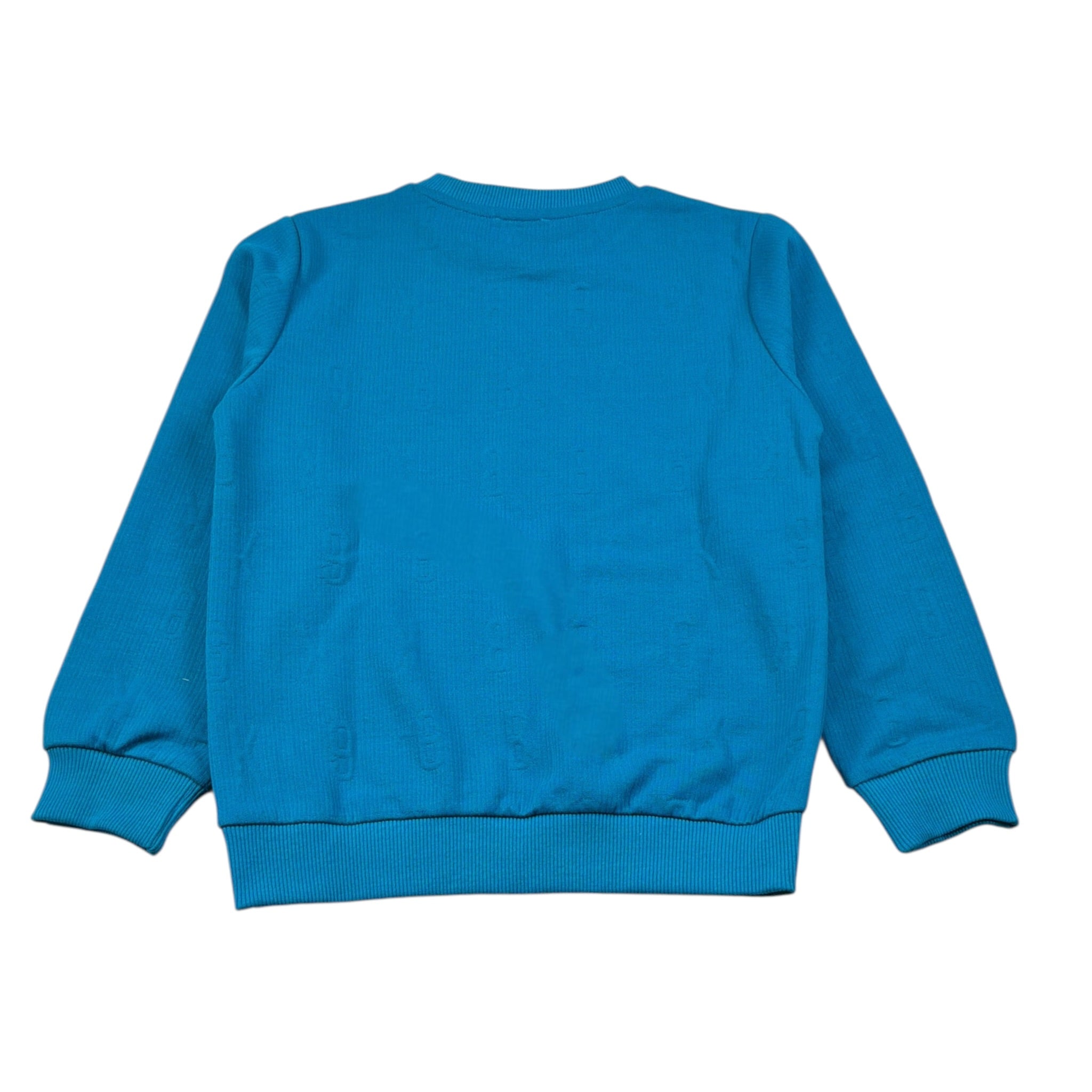 Bikkembergs Felpa Chiusa Girocollo tinta unita Petrolio per Bambino BK3492 PETROLIO BiKKEMBERGS 