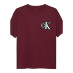 Calvin Klein T-Shirt tinta unita con Logo Bordeaux per Bambino IB0IB02584 BORDEAUX CALVIN KLEIN 