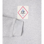 C.P. Company Felpa Chiusa con Cappuccio tinta unita Grigio per Bambino CUF01M GRIGIO C.P. COMPANY 