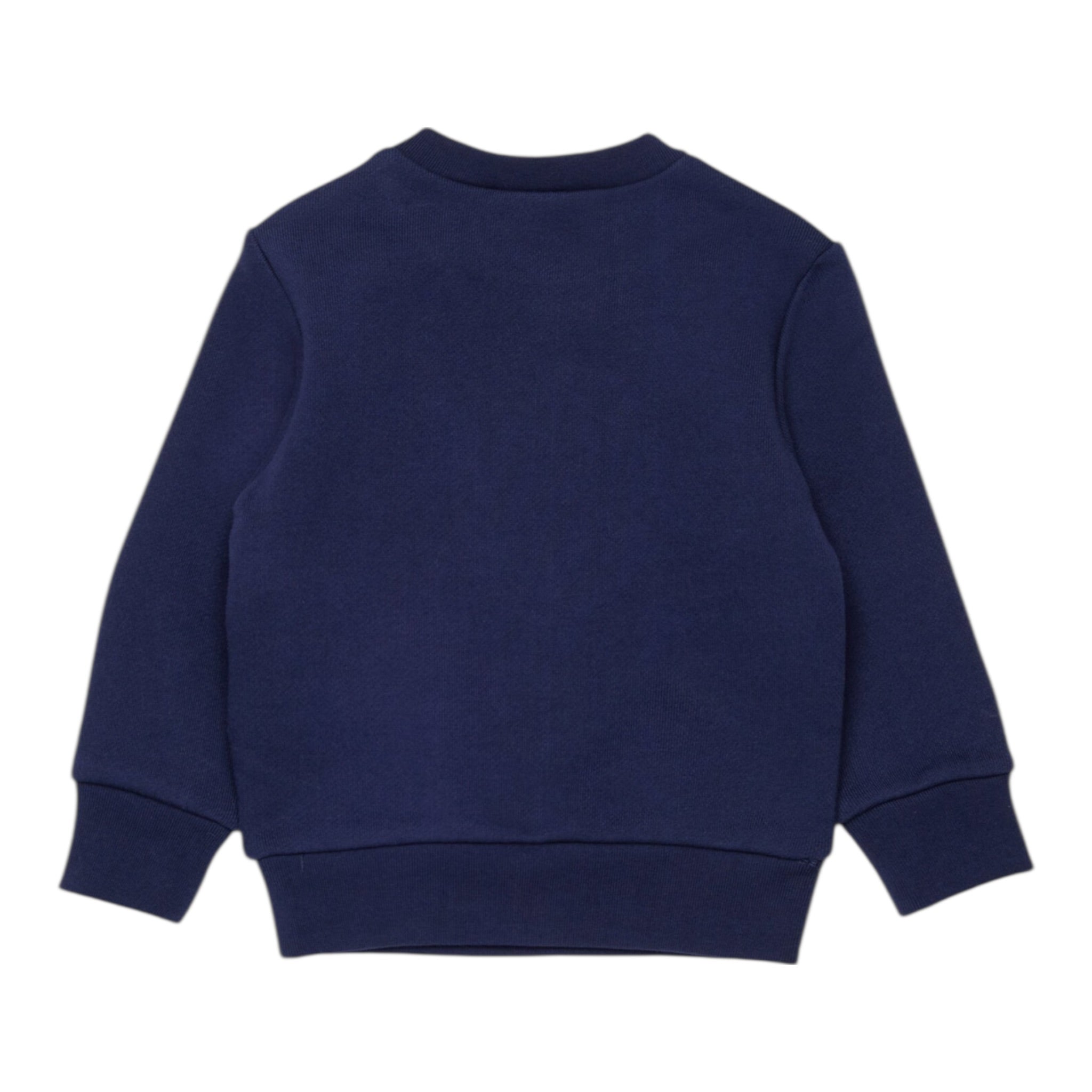 Dsquared2 Felpa Chiusa Girocollo tinta unita con Logo Blu per Neonato DQ3099 BLU DSQUARED2 