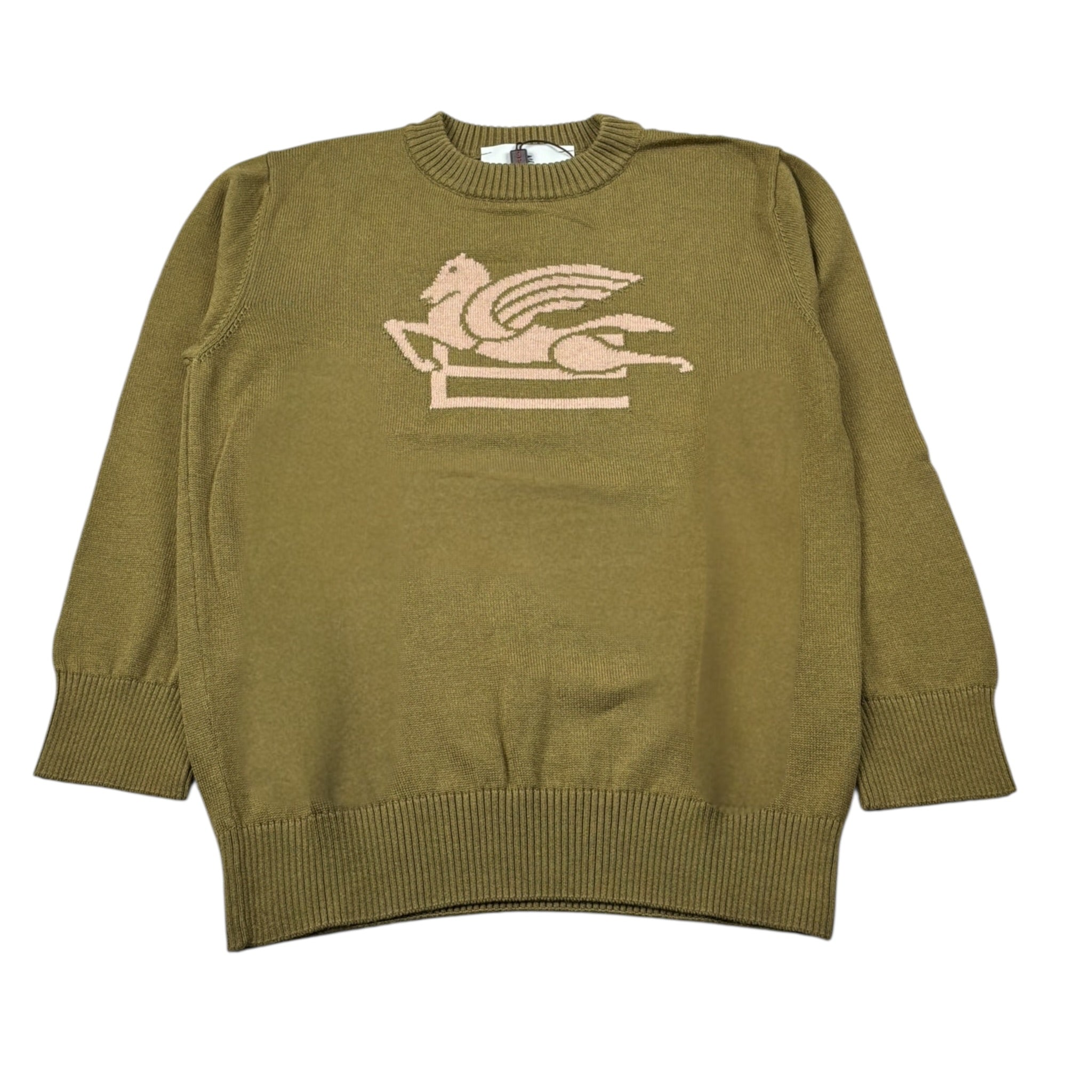 Etro Maglia Girocollo Tina Unita con Ricamo Logo Verde per Bambino GU9P30 VERDE ETRO 