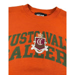 Just Cavalli Felpa Chiusa Girocollo tinta unita con Stampa Arancione per Bambino JBA26040FE ARANCIONE JUST CAVALLI 