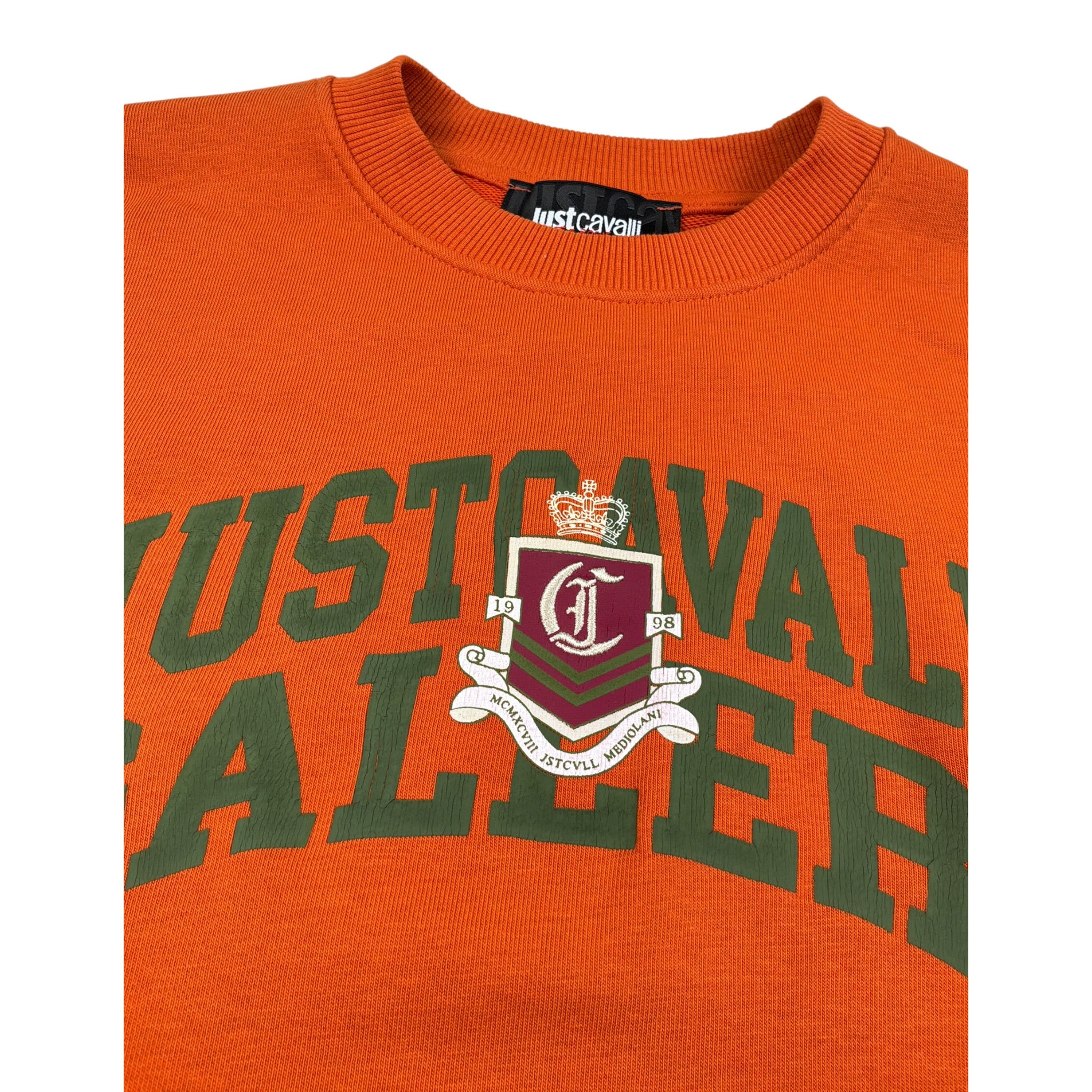 Just Cavalli Felpa Chiusa Girocollo tinta unita con Stampa Arancione per Bambino JBA26040FE ARANCIONE JUST CAVALLI 