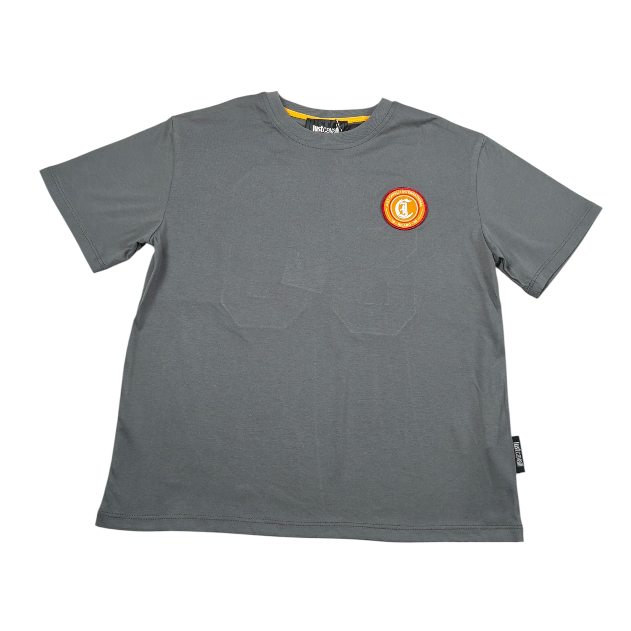 Just Cavalli T-Shirt Girocollo tinta unita con Stampa Grigio per Bambino JBA26112TS GRIGIO JUST CAVALLI 