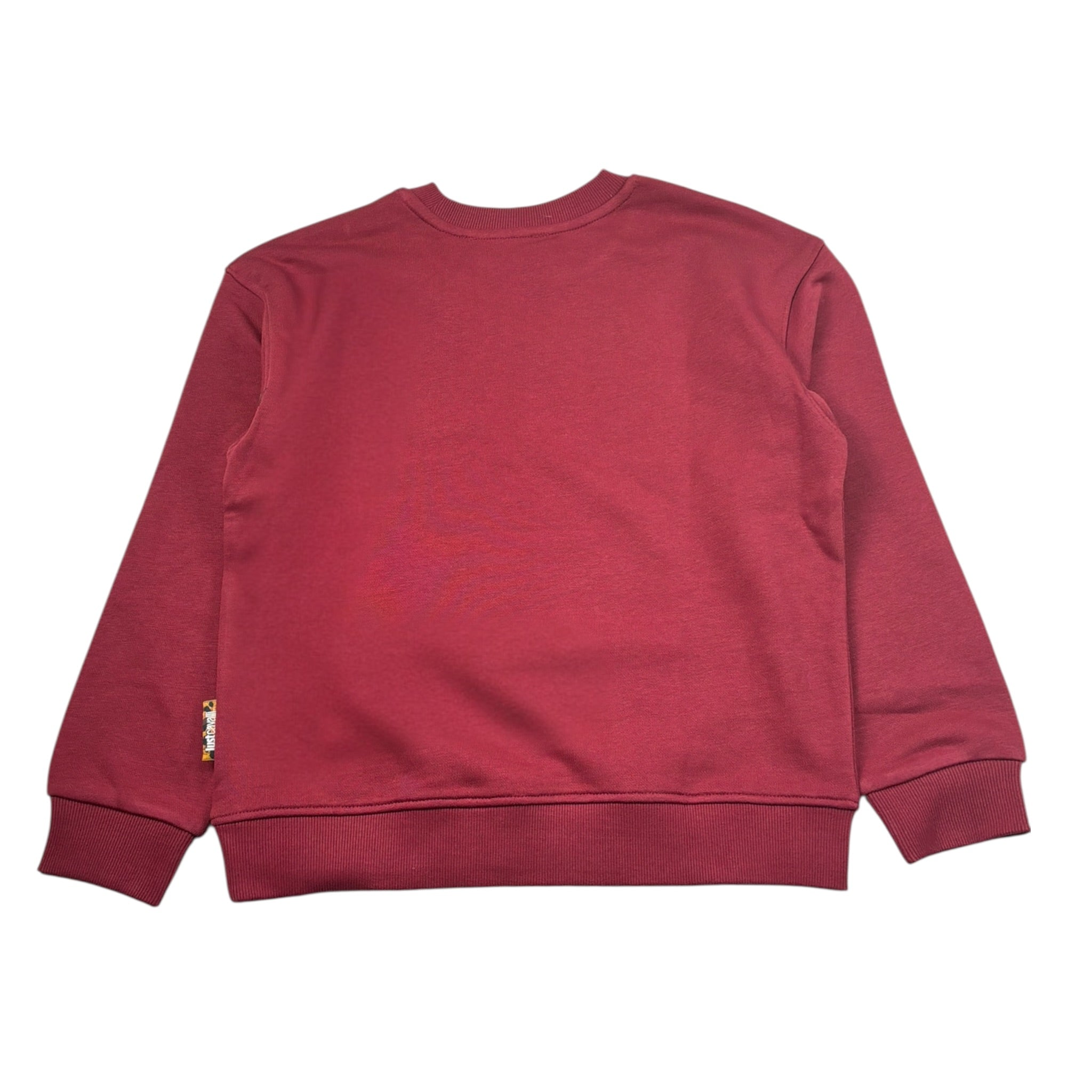 Just Cavalli Felpa tinta unita con Stampa Bordeaux per Bambino JGA26006FE BORDEAUX JUST CAVALLI 