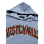 Just Cavalli Felpa Chiusa con Cappuccio tinta unita Azzurro per Bambino JGA26021FE AZZURRO JUST CAVALLI 