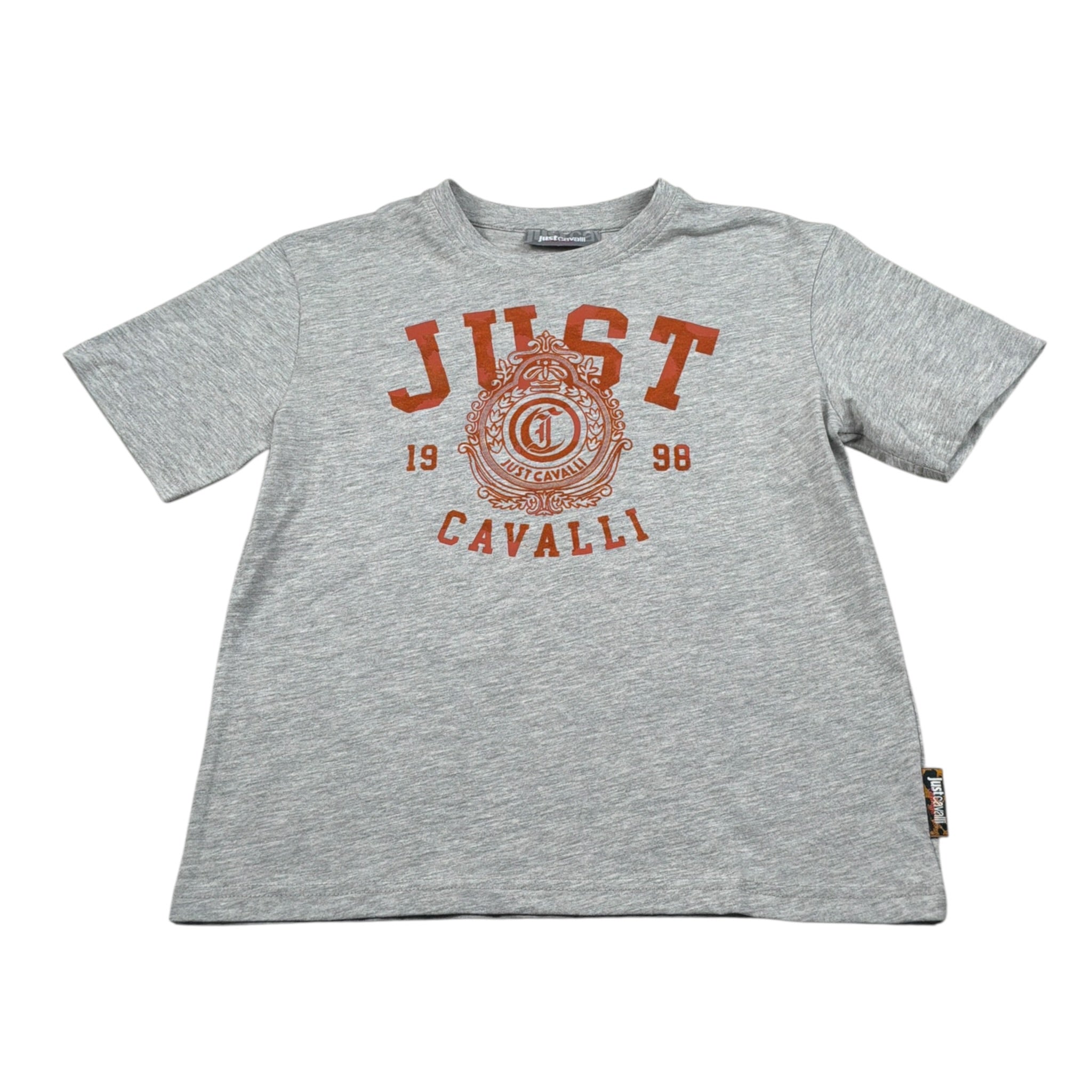 Just Cavalli T-Shirt Girocollo tinta unita con Stampa Grigio per Bambina JGA26105TS GRIGIO JUST CAVALLI 