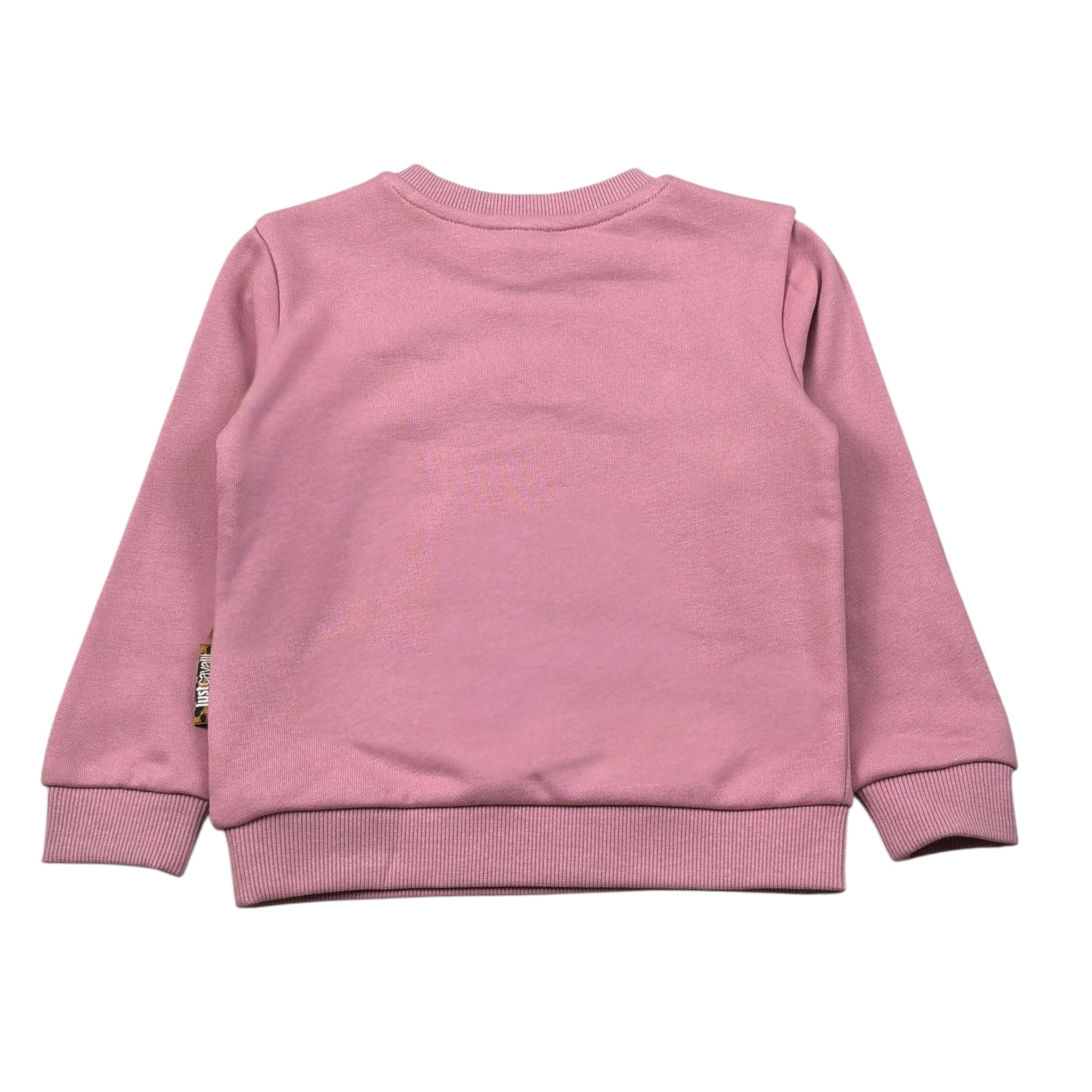 Just Cavalli Felpa Chiusa Girocollo Tint Unita con Logo Rosa per Neonata JIA26014FE ROSA JUST CAVALLI 