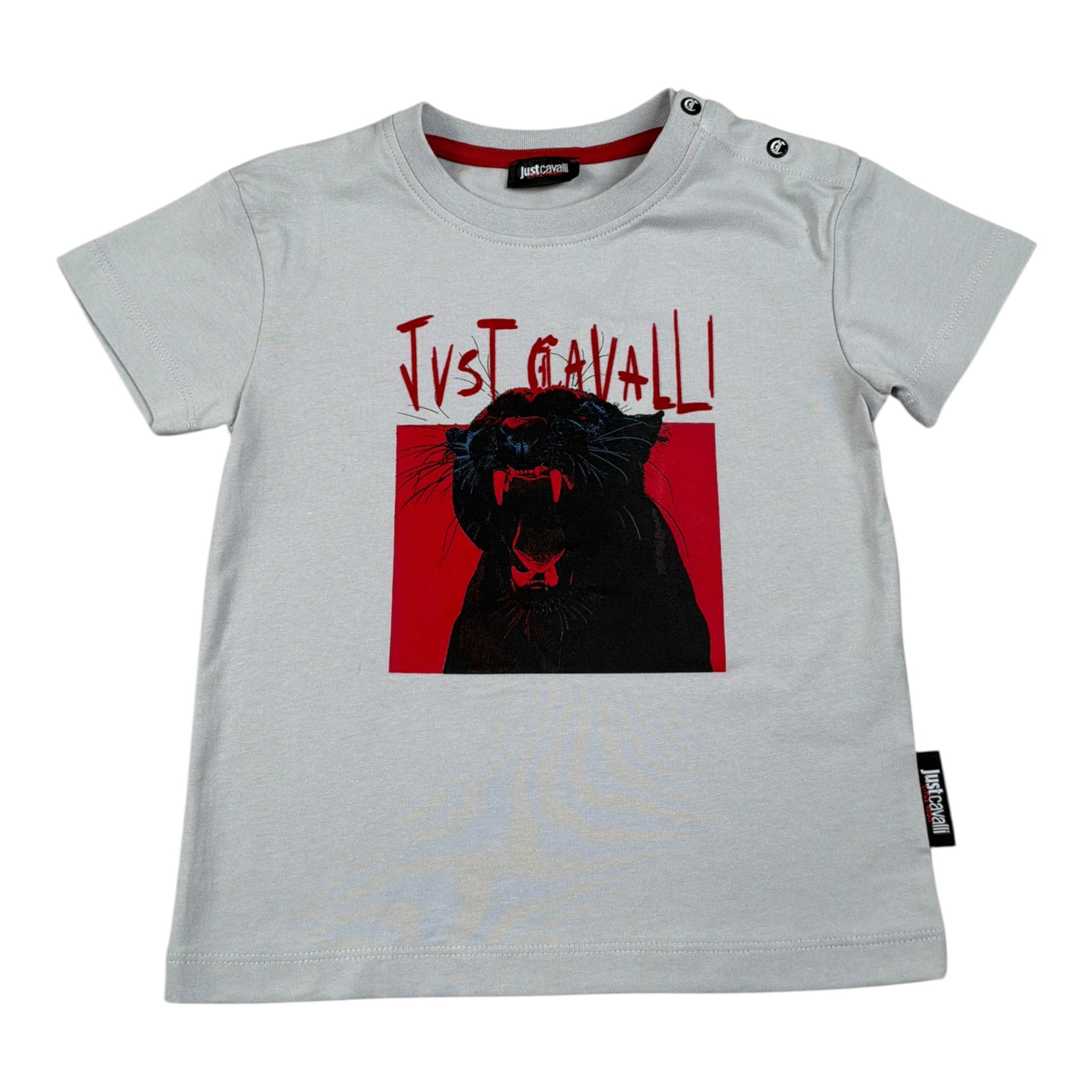 Just Cavalli T-Shirt tinta unita con Stampa Grigio per Neonata JIA260404TS GRIGIO JUST CAVALLI 