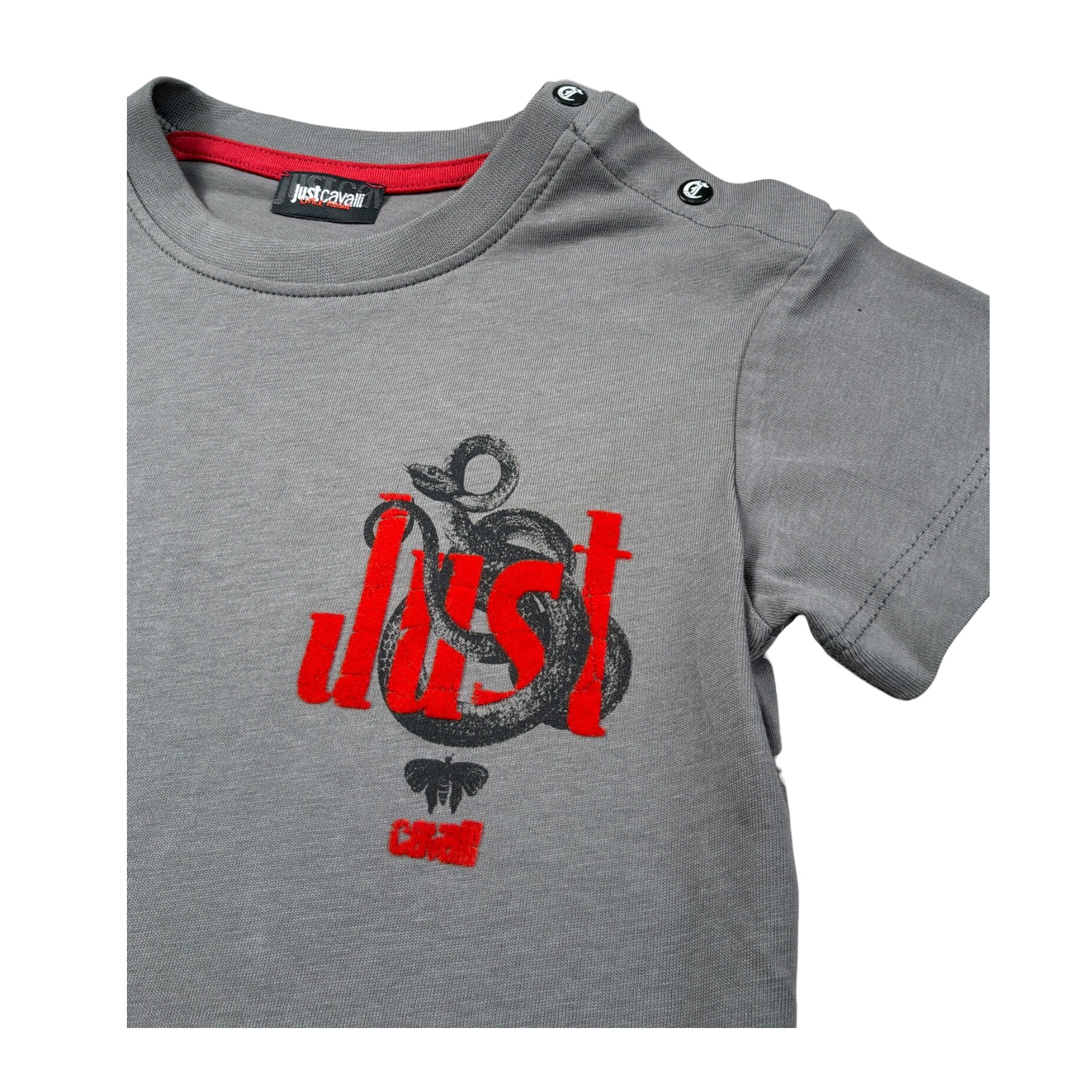 Just Cavalli T-Shirt Girocollo tinta unita con Stampa Grigio per Neonato JIA26045TS GRIGIO JUST CAVALLI 