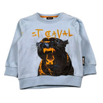 Just Cavalli Felpe Chiusa Girocollo tinta unita Azzurro per Neonato JIA26068FE AZZURRO JUST CAVALLI 