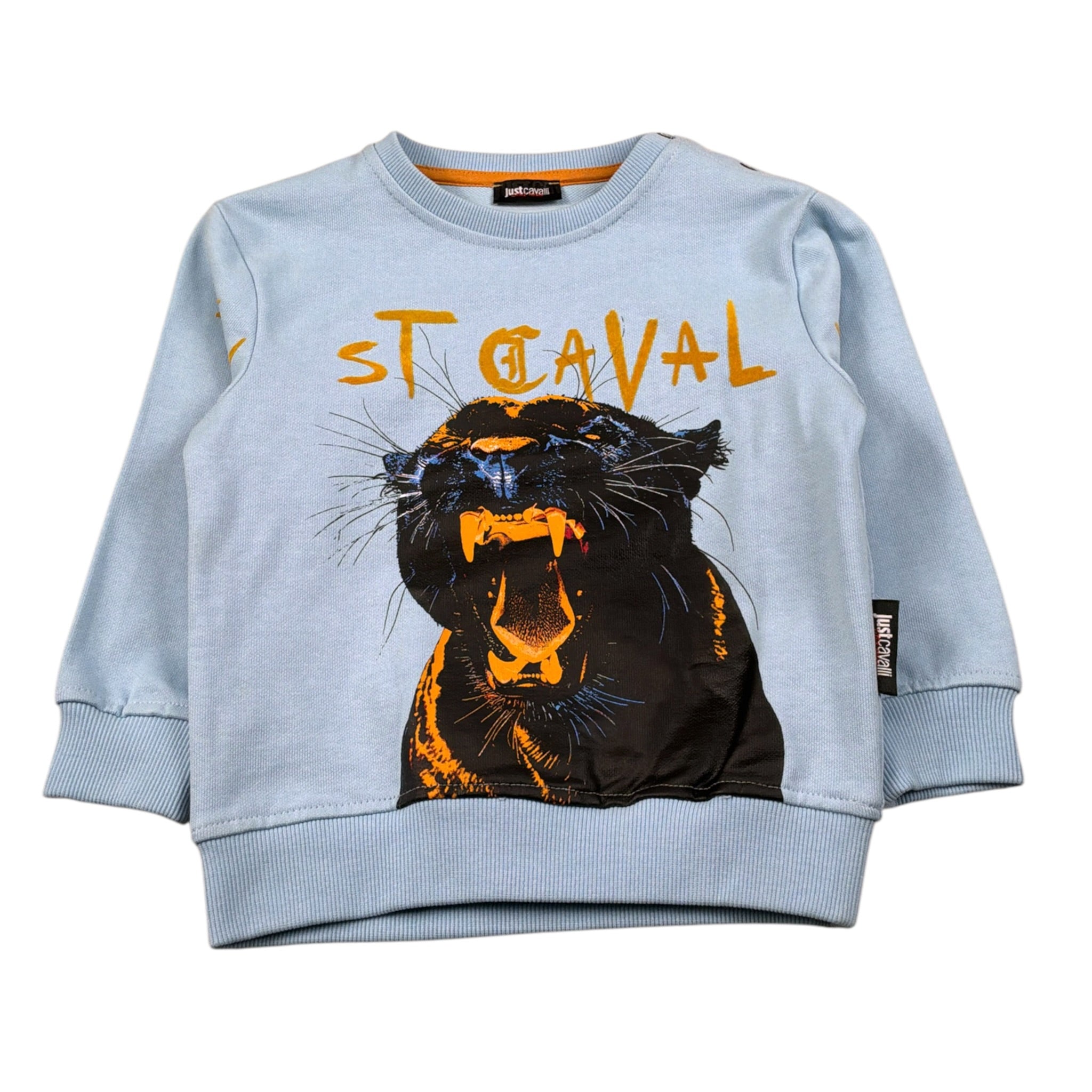 Just Cavalli Felpe Chiusa Girocollo tinta unita Azzurro per Neonato JIA26068FE AZZURRO JUST CAVALLI 