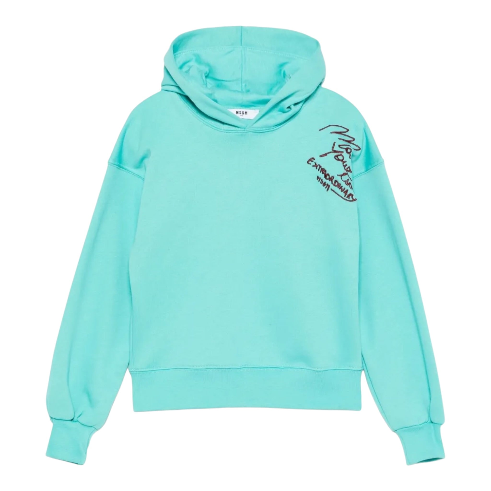Msgm Felpa tinta unita con Cappuccio Verde Acqua per Bambino F5MSJGHS123 VERDE ACQUA MSGM 