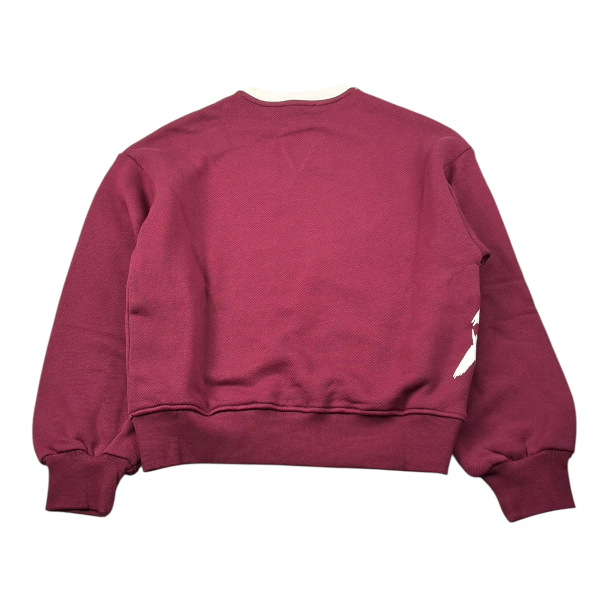 Msgm Felpa Girocollo tinta unita con Stampa Bordeaux per Bambina F5MSJGSW129 BORDEAUX MSGM 