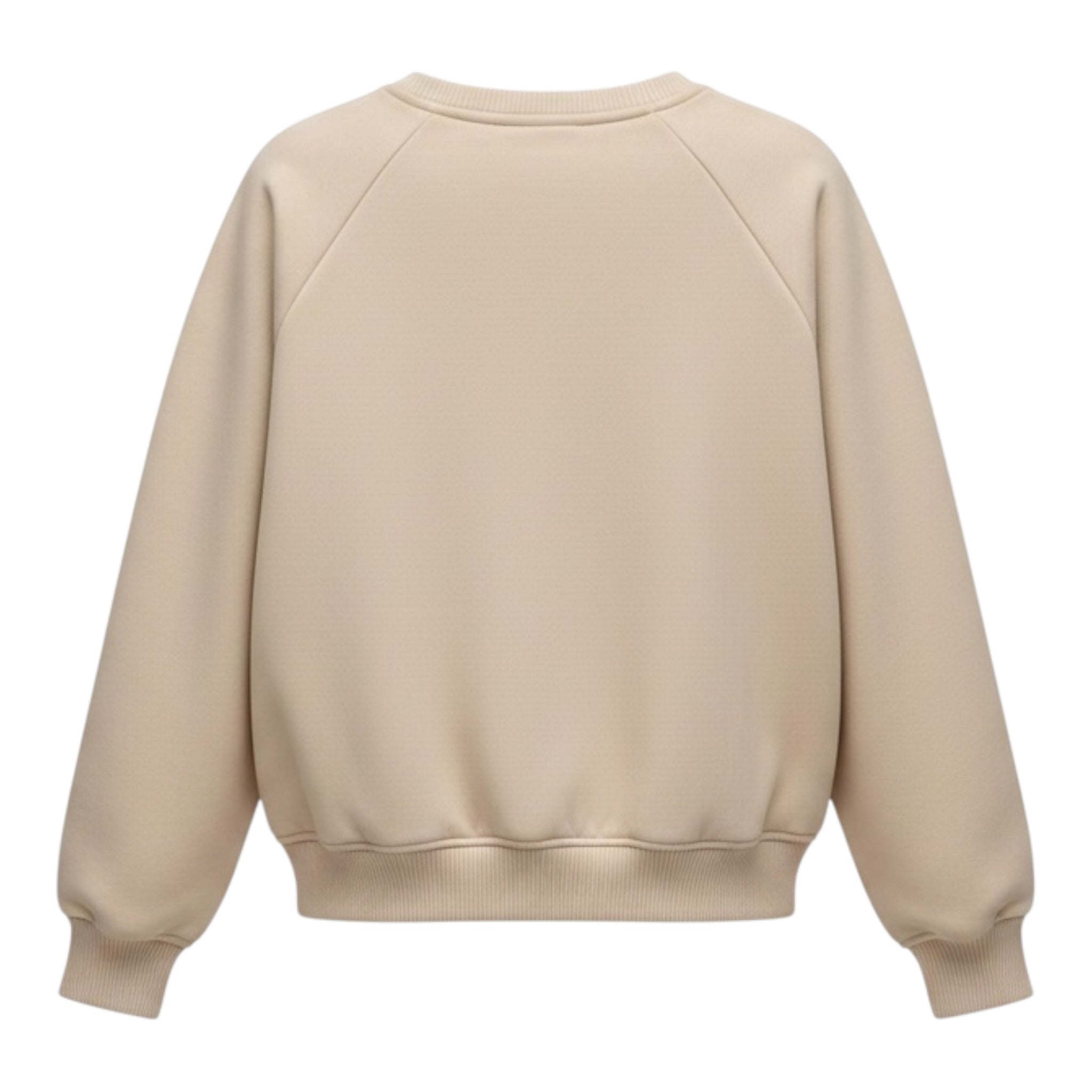 Please Felpa Girocollo tinta unita con Stampa Beige per Bambina LB30040B77 BEIGE PLEASE 