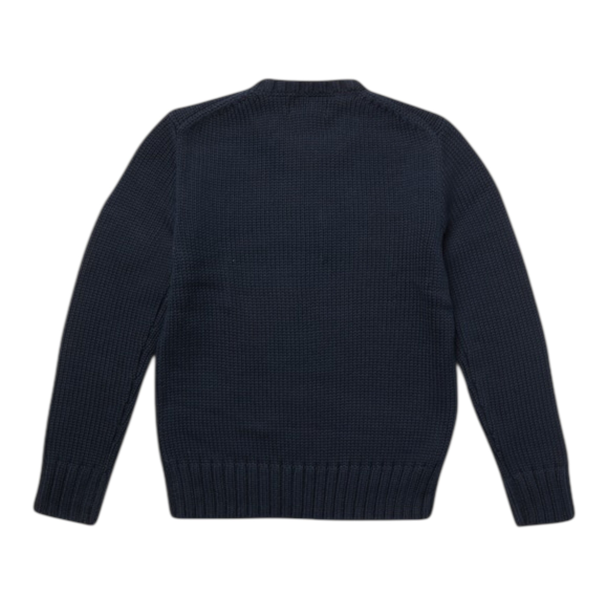 Ralph Lauren Maglia tinta unita con Stampa Blu per Bambino 323668285001 BLU RALPH LAUREN 