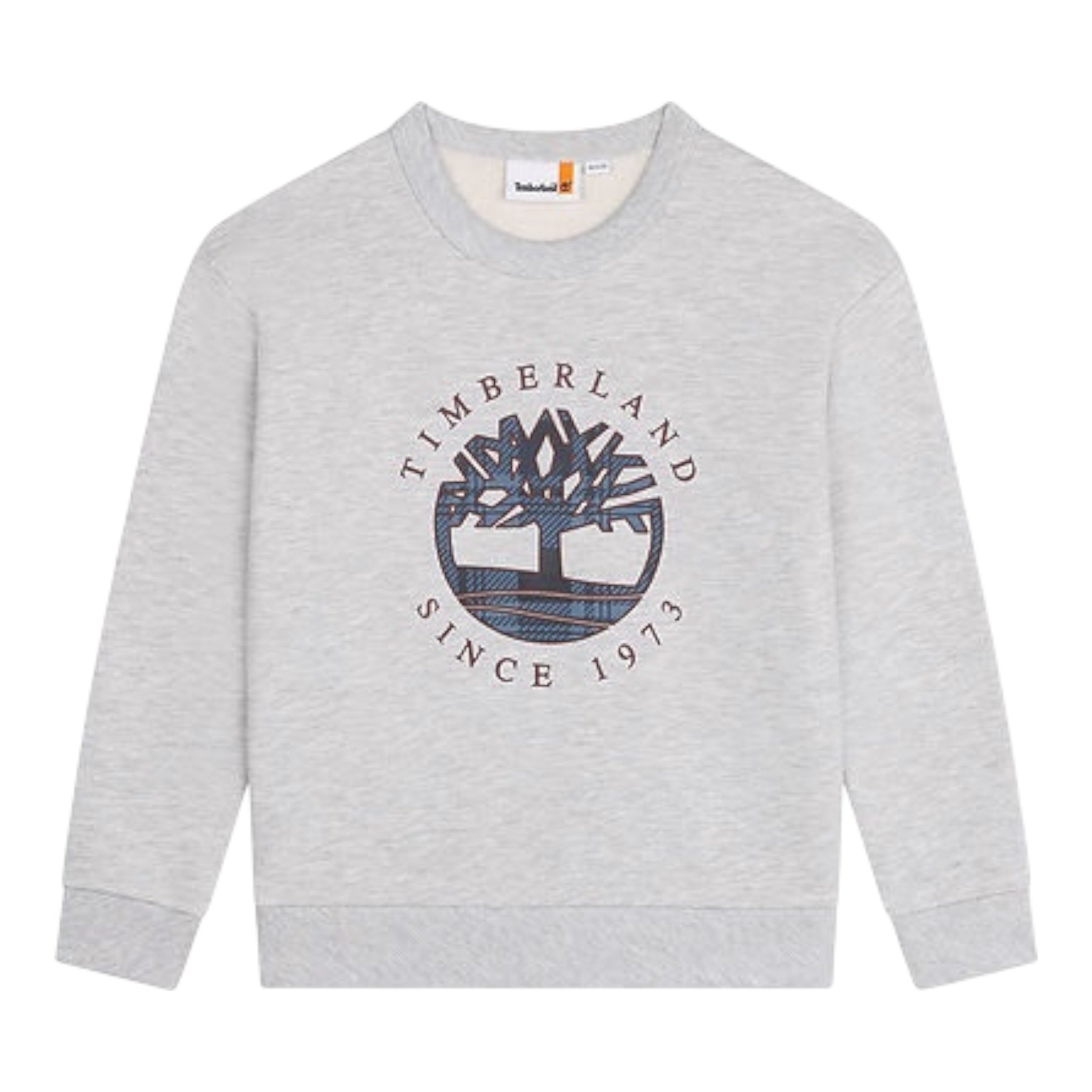 Timberland Felpa tinta unita con Stampa Grigio per Bambino T60319 GRIGIO TIMBERLAND 