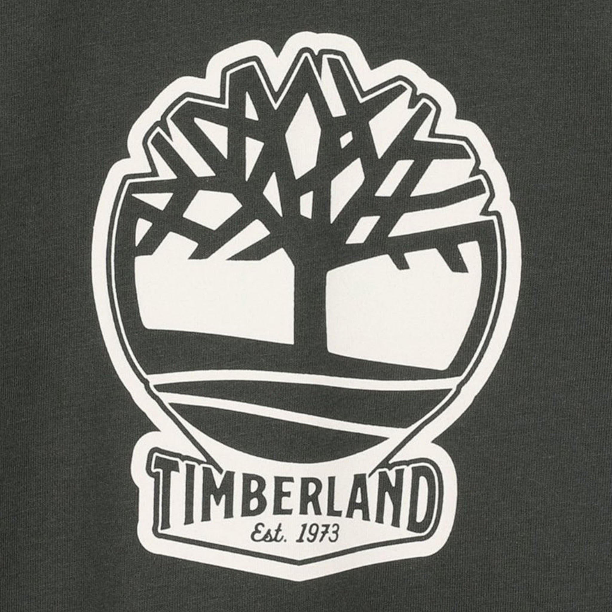 Timberland T-Shirt tinta unita con Stampa Verde per Bambino T60422 VERDE TIMBERLAND 