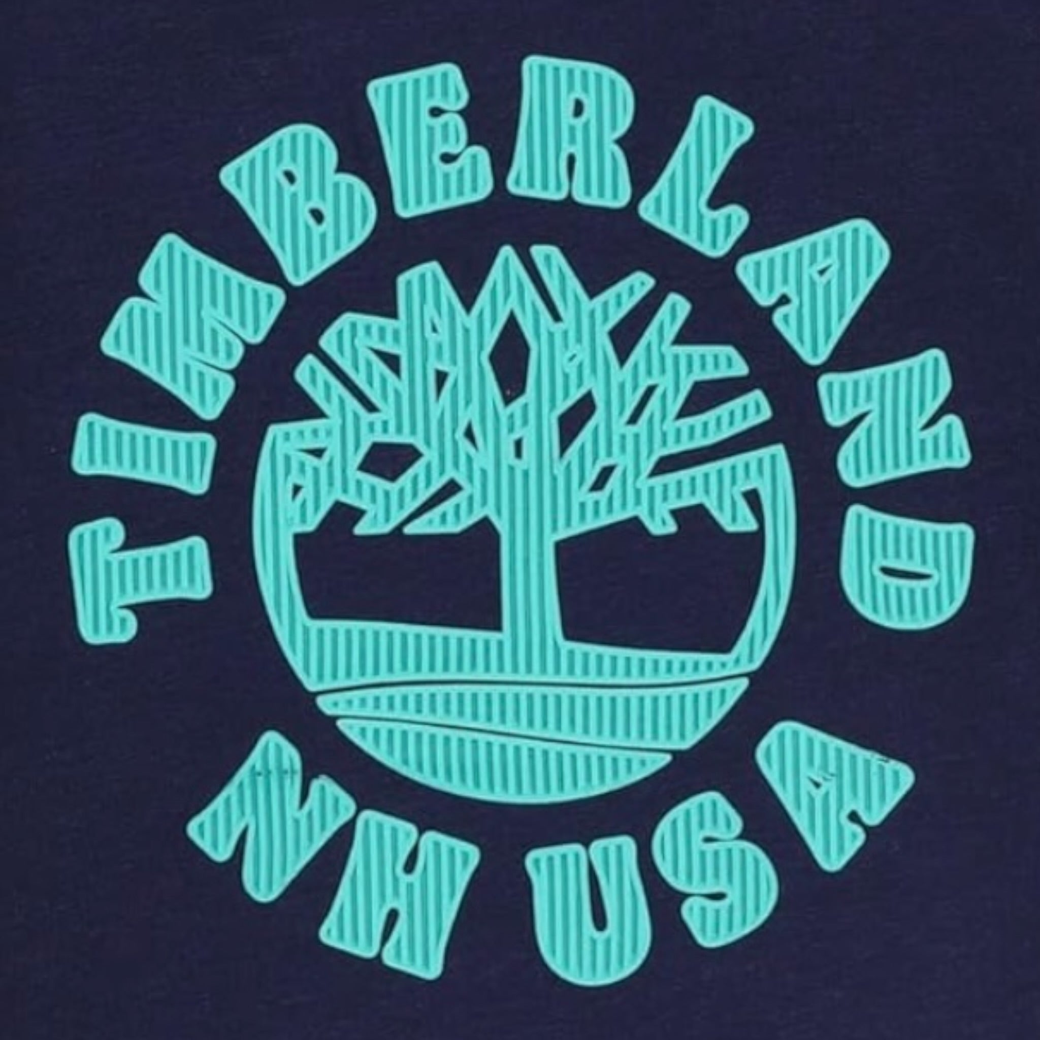 Timberland Shirt tinta unita Girocollo con Stampa Blu per Neonato T60589 BLU TIMBERLAND 