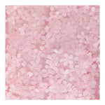 Mimisol Abito Manica Lunga Tinta Unita con Applicazioni Fiori per Bambina MFAB646 ROSA MIMISOL 