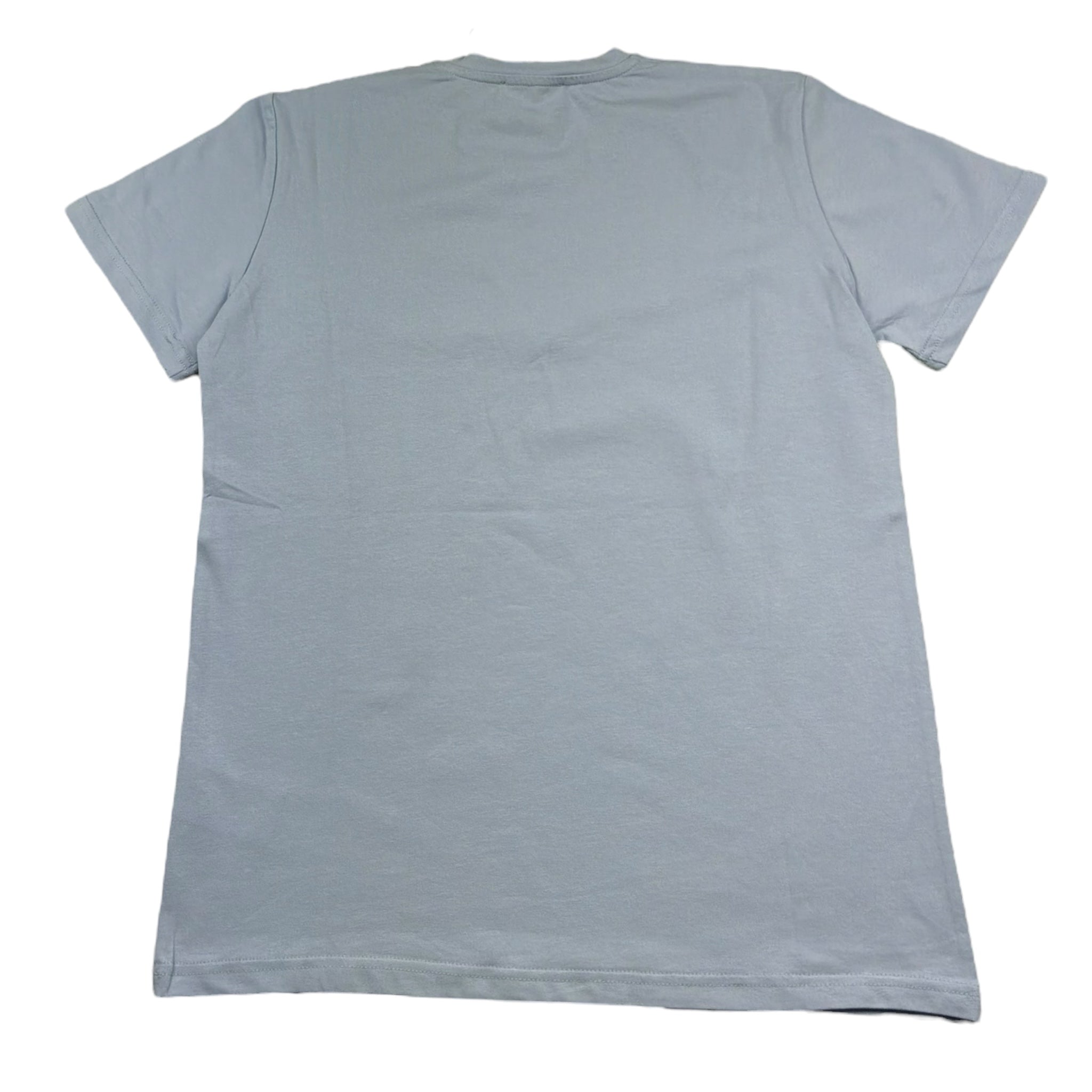 Zu+Elements T-Shirt Girocollo Tinta Unita con Stampa per Bambino ZU1608 AZZURRO POLVERE ZU+ELEMENTS 