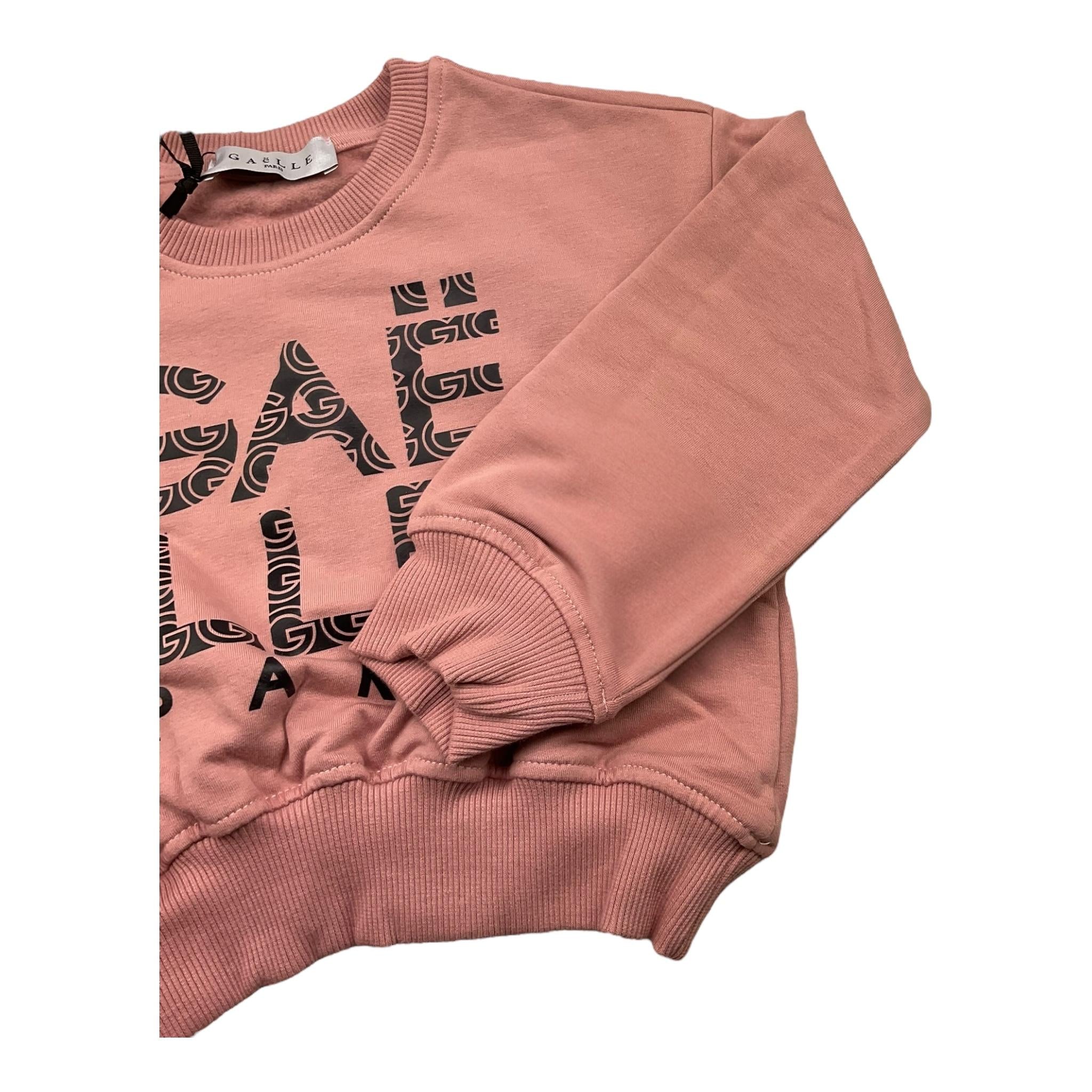 GAELLE felpa chiusa girocollo tinta unita cn stampa logo Rosa per Bambina 2741F00318X ROSA GAELLE 