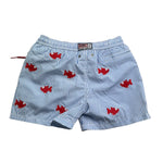 Saint Barth Costume Tinta Unita Modello Boxer con Stampa per Bambino 00603L AZZURRO SAINT BARTH 