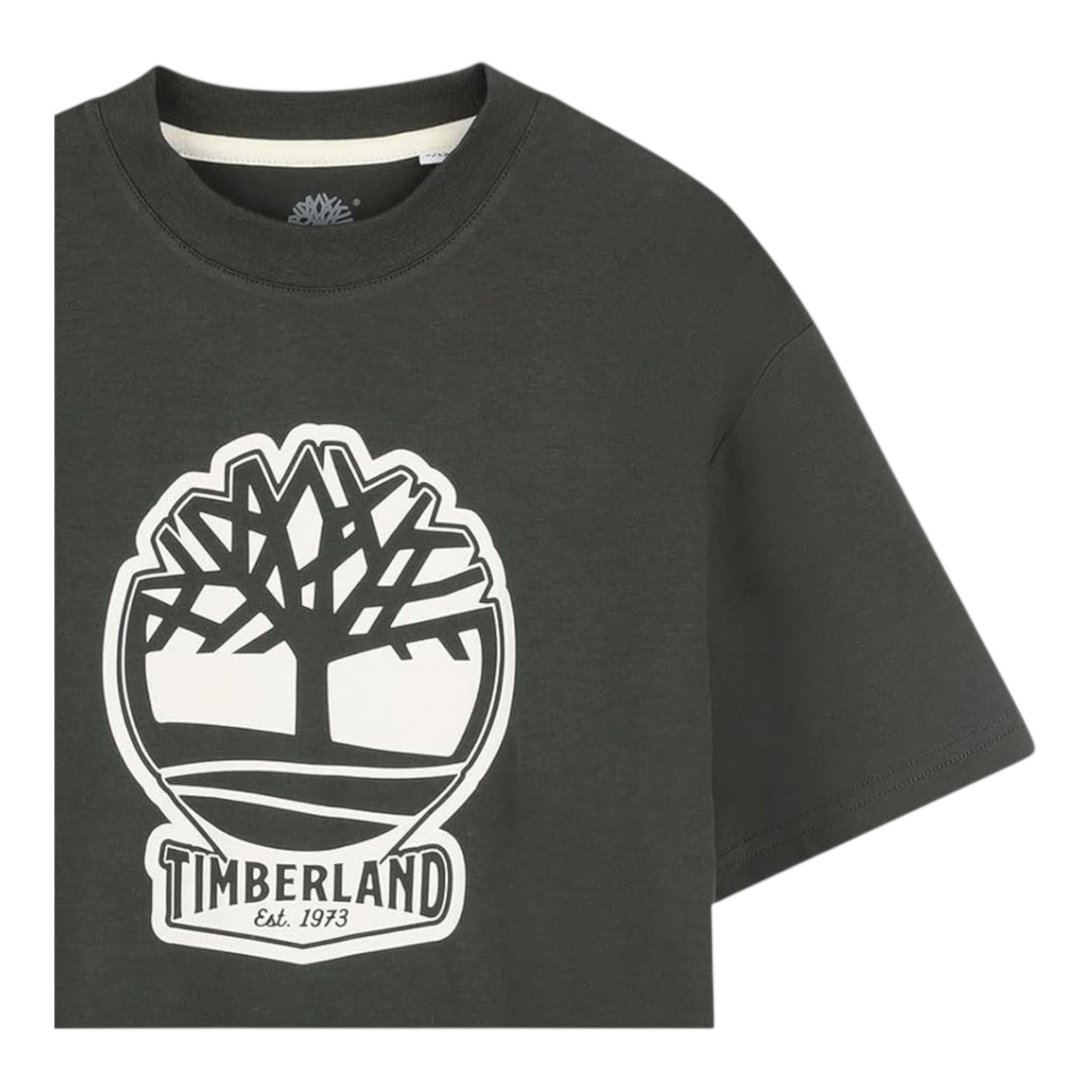 Timberland T-Shirt Girocollo Tinta Unita con Stampa per Bambino T60506TJ VERDE TIMBERLAND 