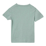 Calvin Klein T-Shirt Girocollo Tinta Unita con Logo per Bambino IN0IN0001J VERDE ACQUA CALVIN KLEIN 