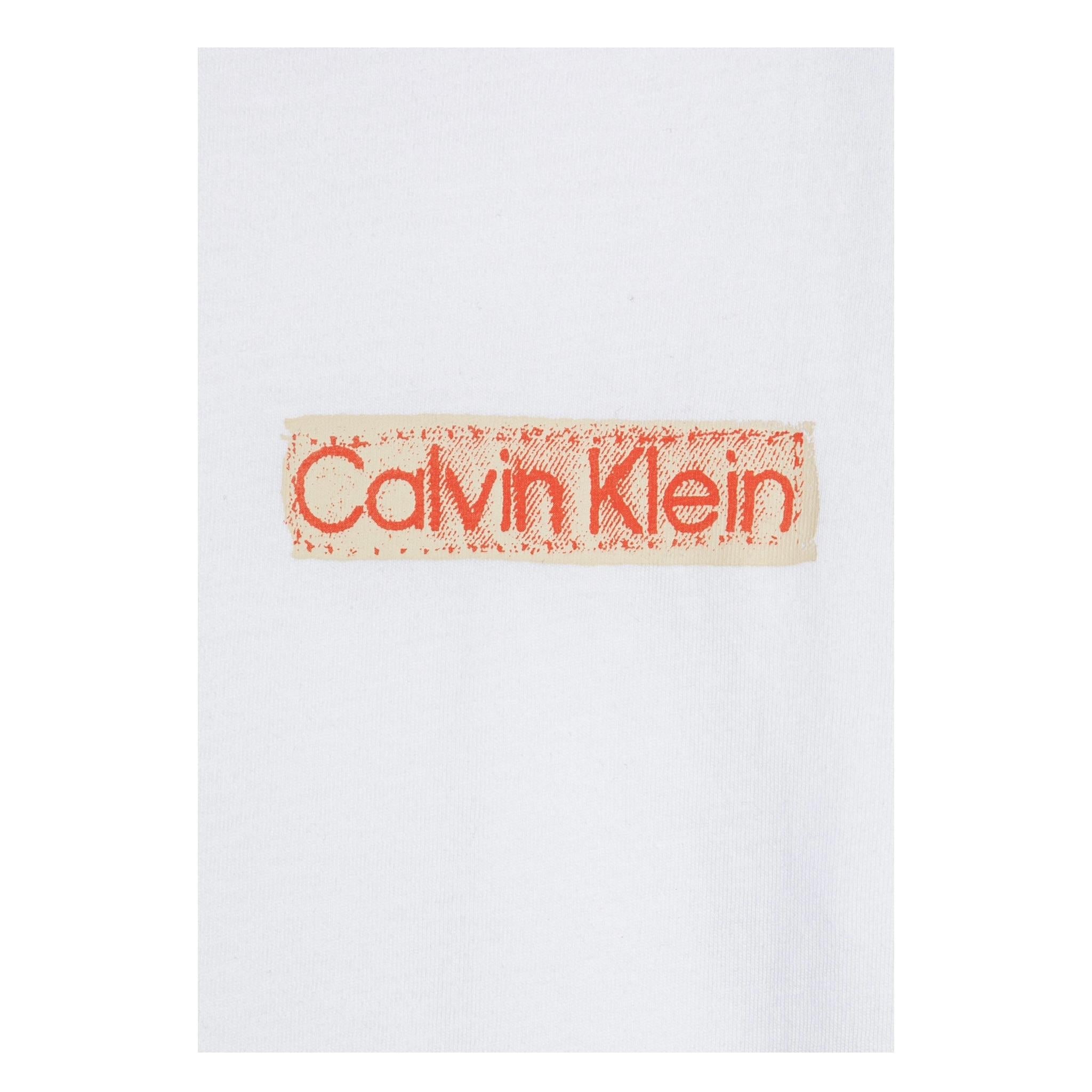 Calvin Klein T-Shirt Girocollo Tinta Unita con Logo per Bambino IB0IB02451 BIANCO CALVIN KLEIN 
