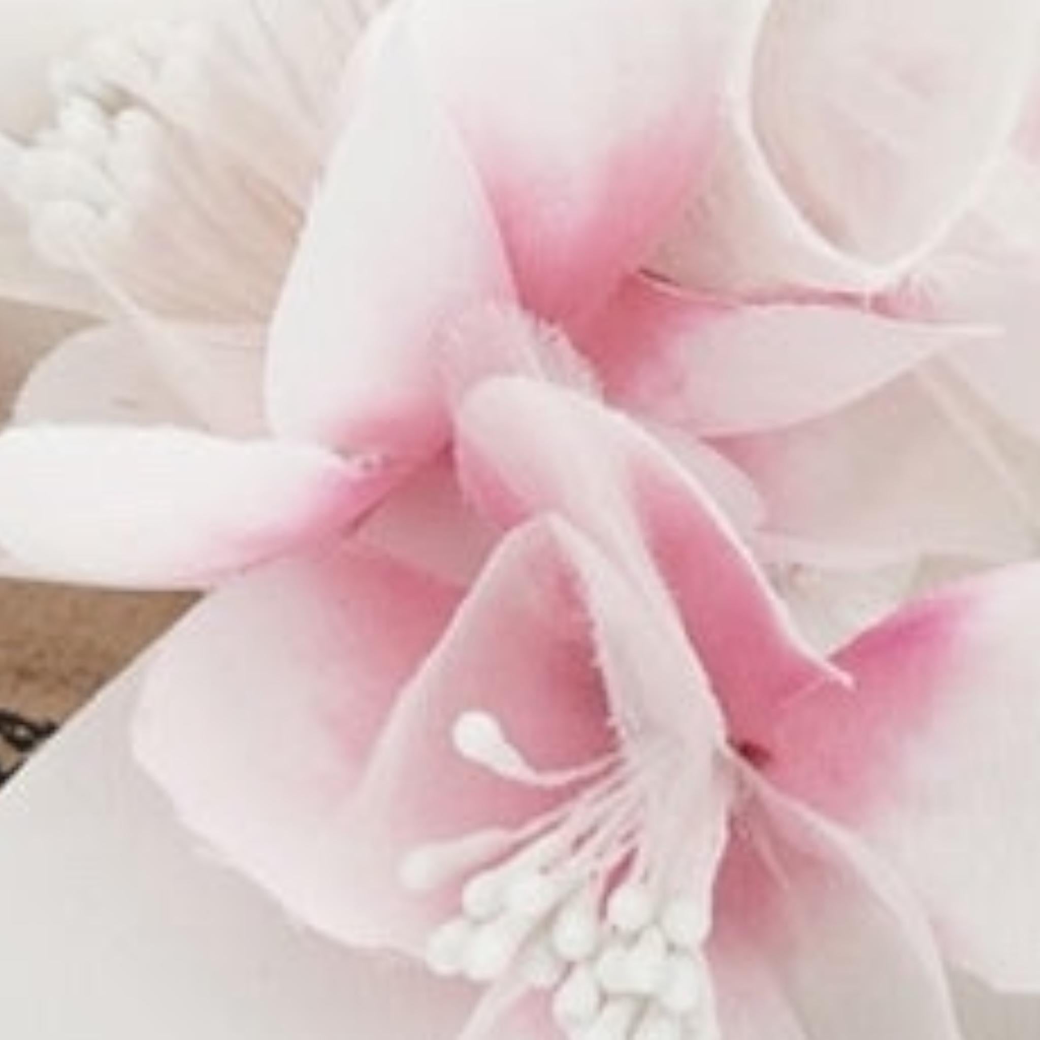 Monnalisa Sandali Tinta Unita con Applicazioni per Bambina 8EC003 BIANCO MONNALISA 