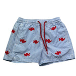 Saint Barth Costume Tinta Unita Modello Boxer con Stampa per Bambino 00603L AZZURRO SAINT BARTH 