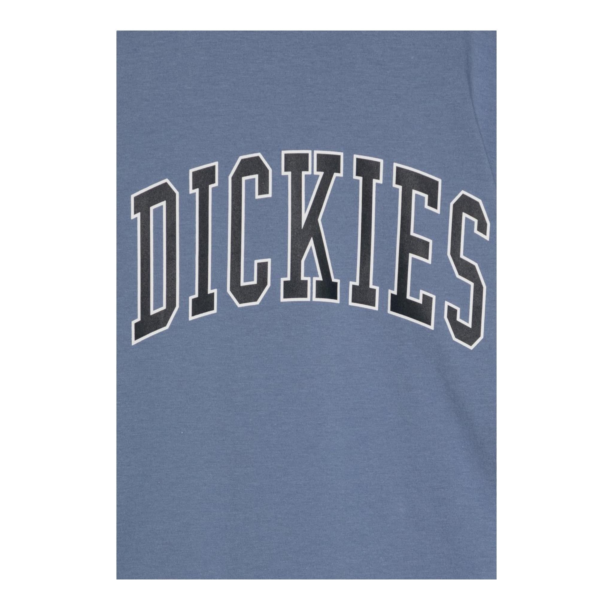 Dickies T-Shirt Girocollo tinta unita con Logo Azzurro per Bambino 520049816800100 AZZURRO DICKIES 