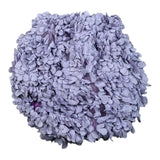 A' La Page Coulotte Tinta Unita con Applicazioni per Bambina AL20 LILLA A' LA PAGE 