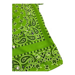 Louis Dieudonne' Camicia Tinta Unita Mezza Manica con Fantasia per Bambino LD01 VERDE LOUIS DIEUDONNE' 